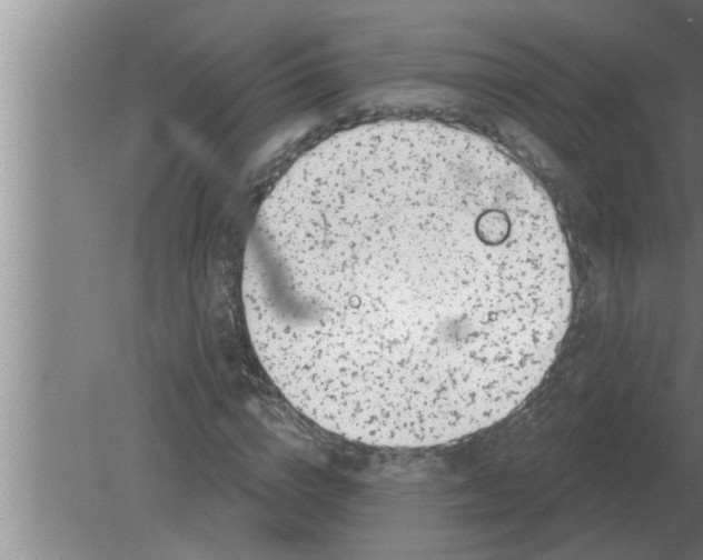 X0000080180824200612302243