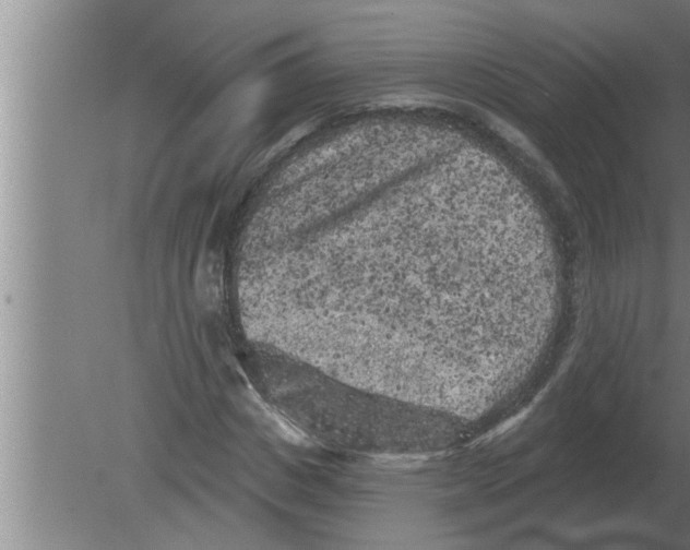 X0000080180825200612302243