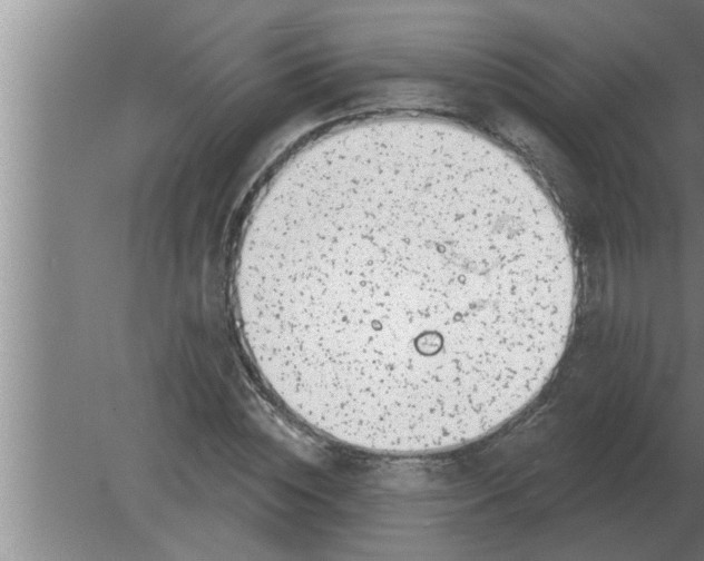 X0000080180828200612302243