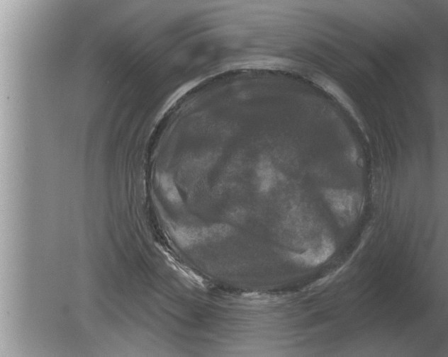 X0000080180829200612302243