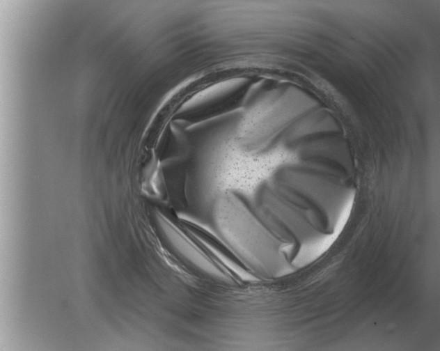 X0000080180830200612302243