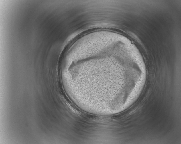 X0000080180831200612302243