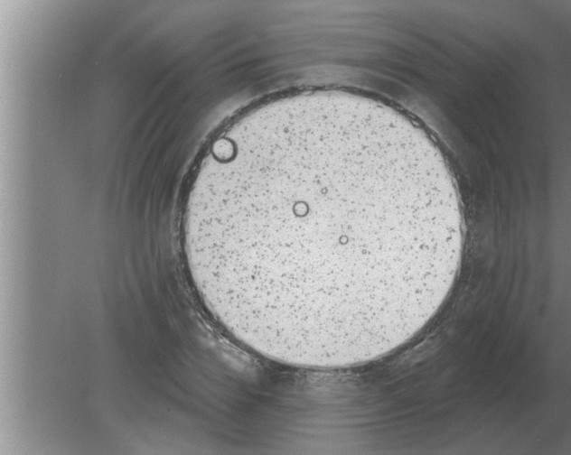 X0000080180832200612302243