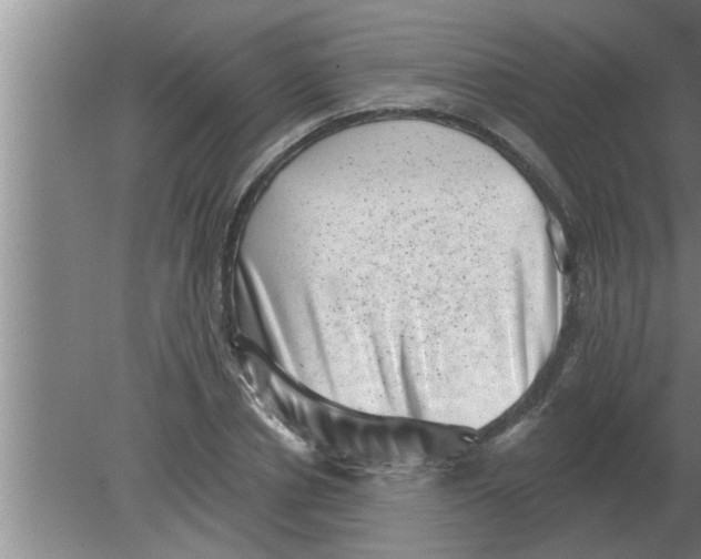 X0000080180834200612302243