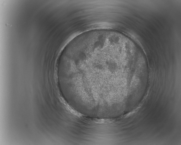 X0000080180835200612302243