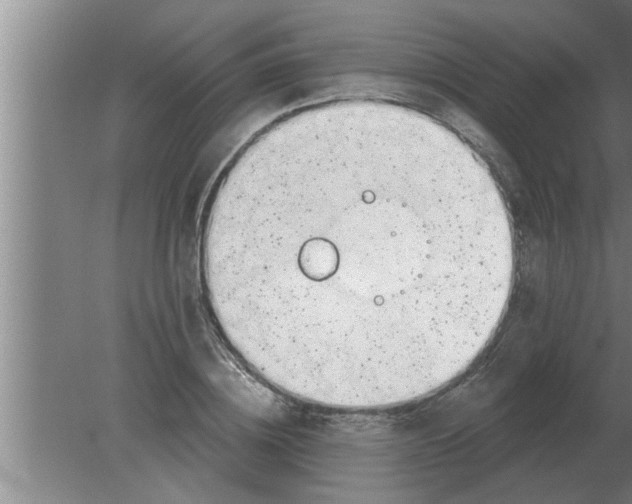 X0000080180836200612302243