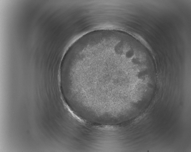 X0000080180839200612302243