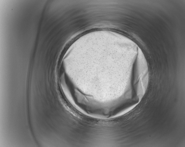 X0000080180840200612302243