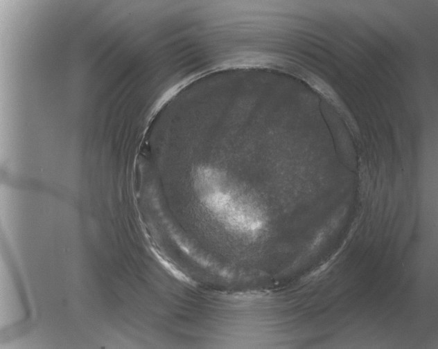 X0000080180842200612302243