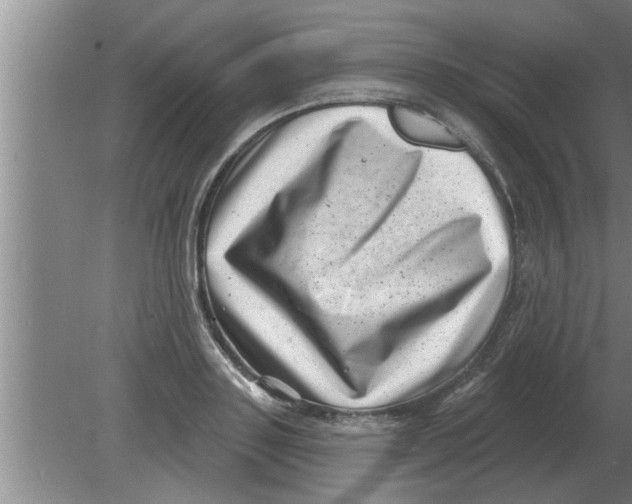 X0000080180843200612302243