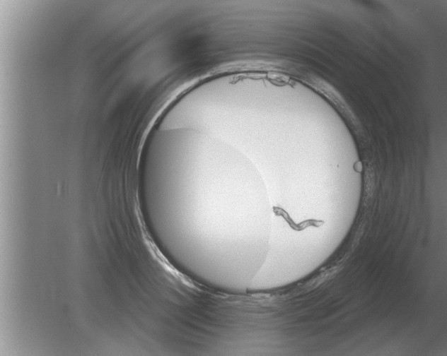 X0000080180844200612302243