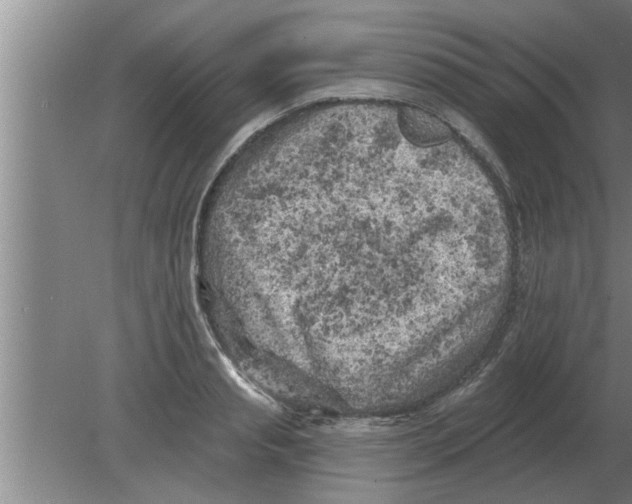 X0000080180845200612302243