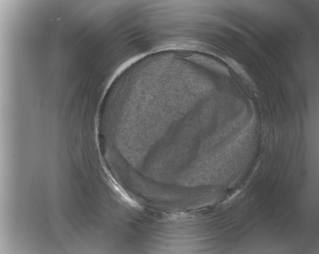 X0000080180846200612302243