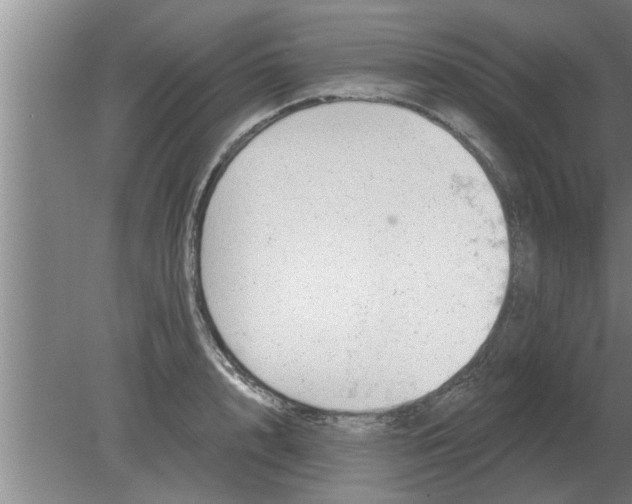 X0000080180848200612302243