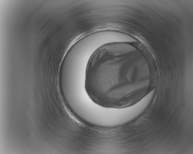 X0000080180850200612302243