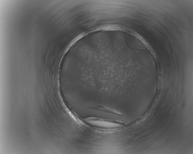 X0000080180853200612302243