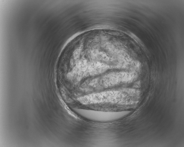 X0000080180854200612302243