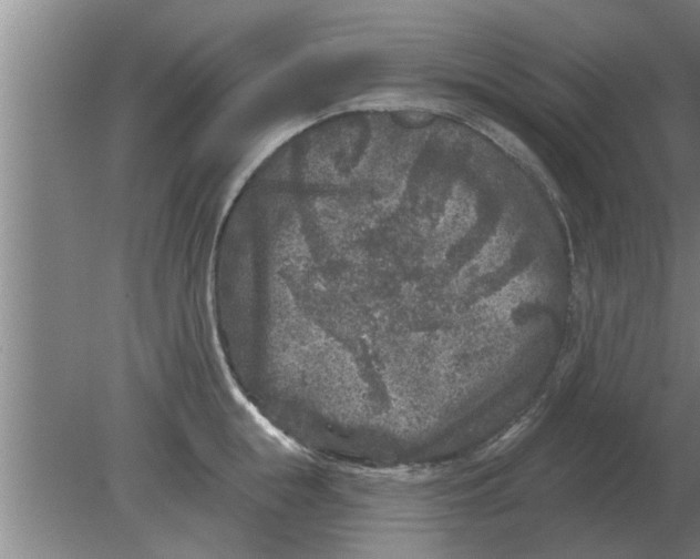 X0000080180855200612302243