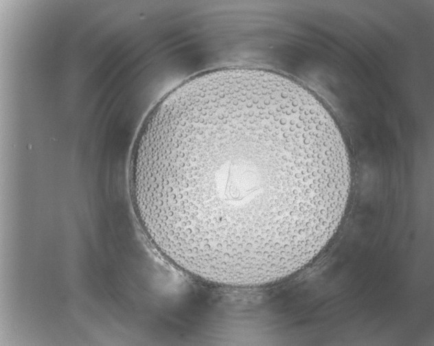 X0000080180856200612302243