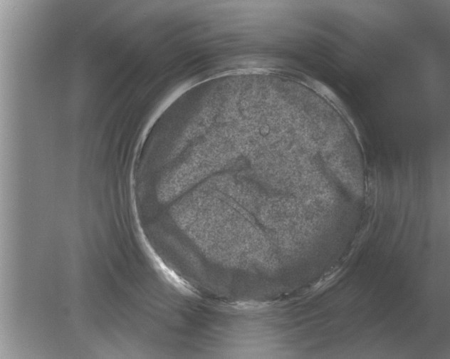 X0000080180859200612302243