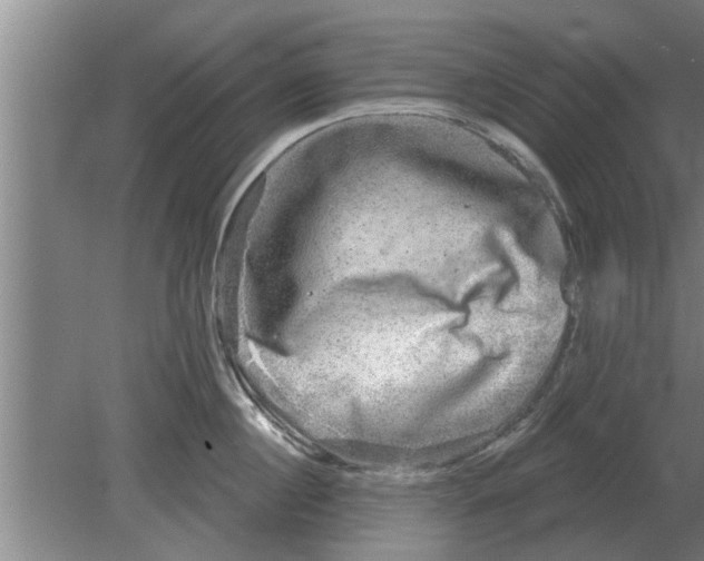 X0000080180860200612302243