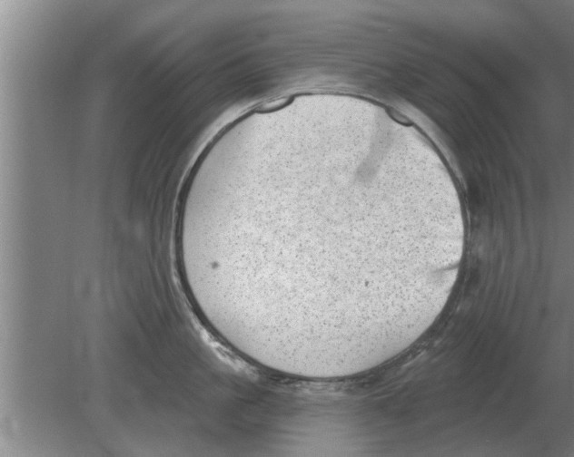 X0000080180861200612302243