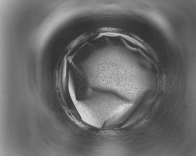 X0000080180862200612302243