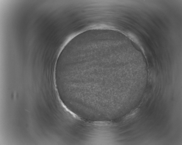 X0000080180863200612302243