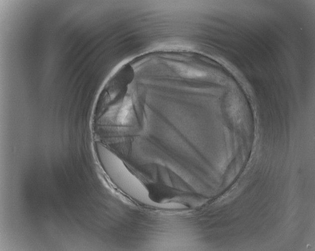 X0000080180864200612302243