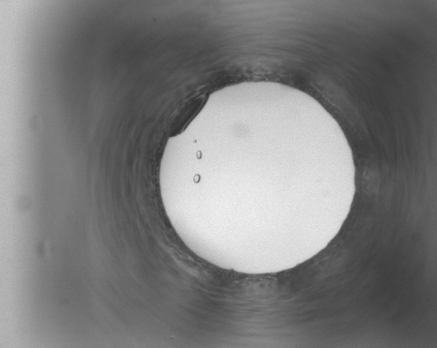 X0000080180865200612302242