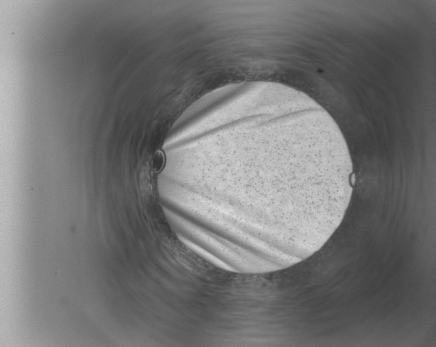 X0000080180866200612302242