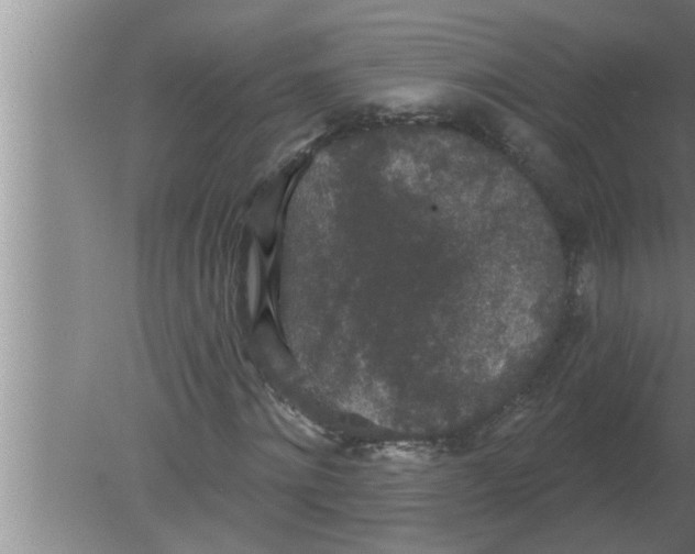 X0000080180868200612302242