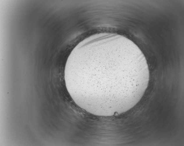 X0000080180870200612302242