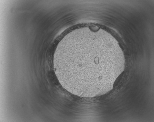 X0000080180871200612302242