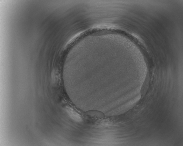 X0000080180872200612302242