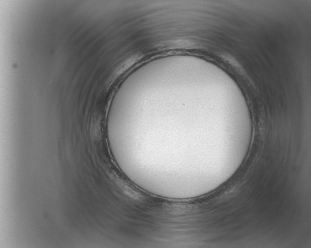 X0000080180873200612302242