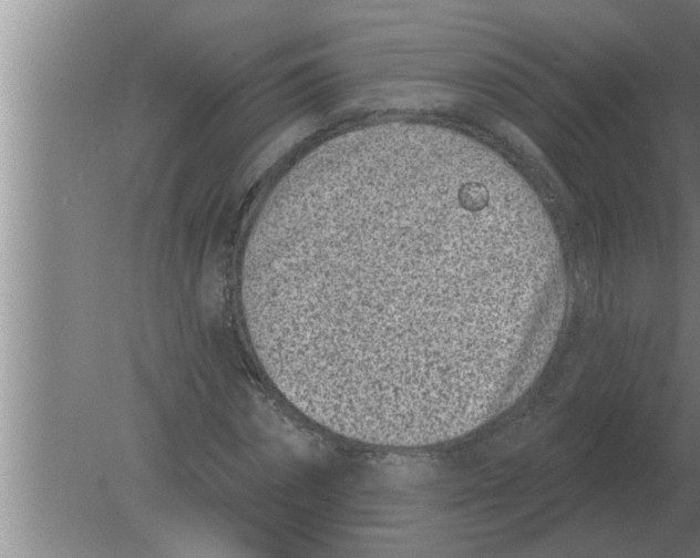 X0000080180874200612302242