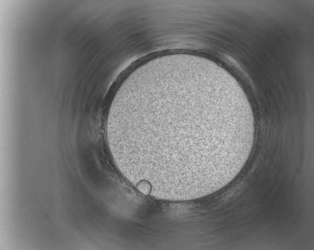 X0000080180875200612302242