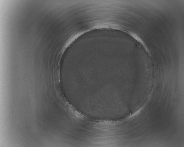 X0000080180877200612302242