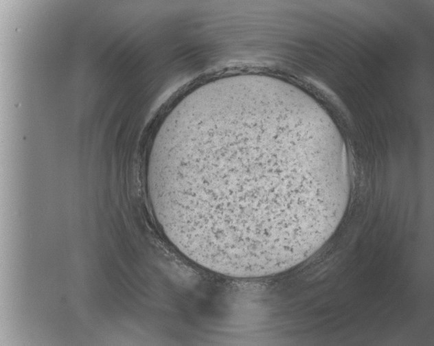 X0000080180878200612302242