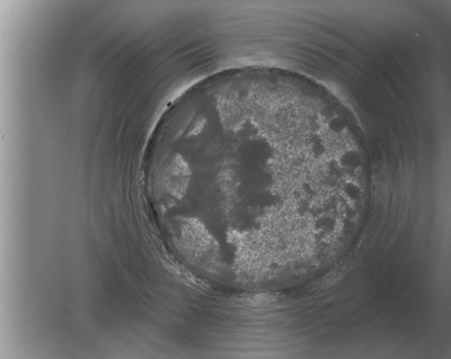 X0000080180879200612302242