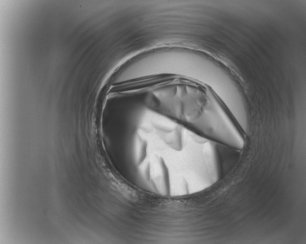 X0000080180880200612302242