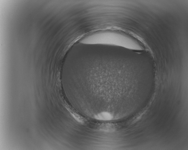 X0000080180881200612302242