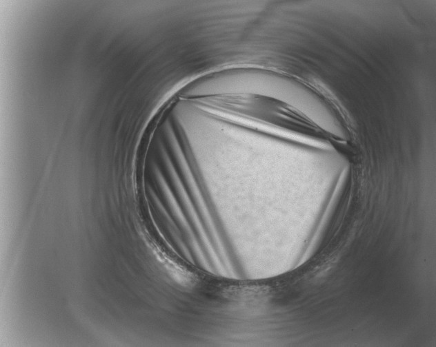 X0000080180884200612302242