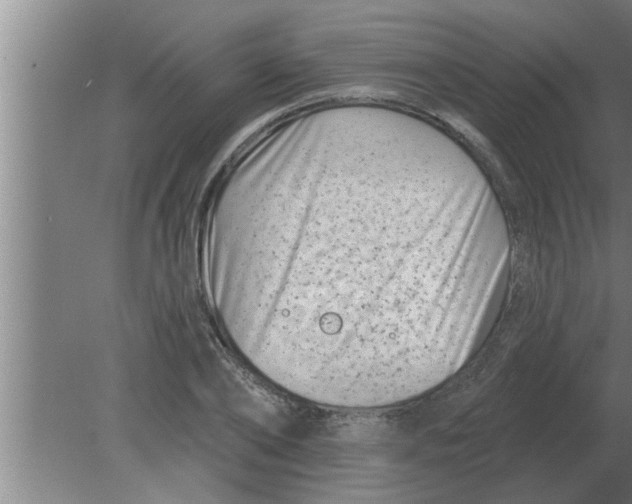 X0000080180886200612302242