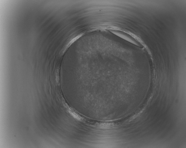 X0000080180889200612302242