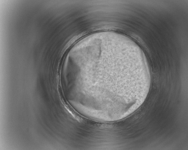 X0000080180890200612302242