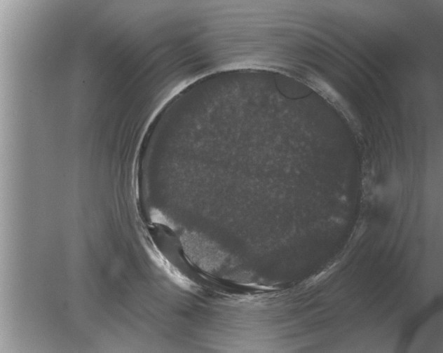 X0000080180892200612302242