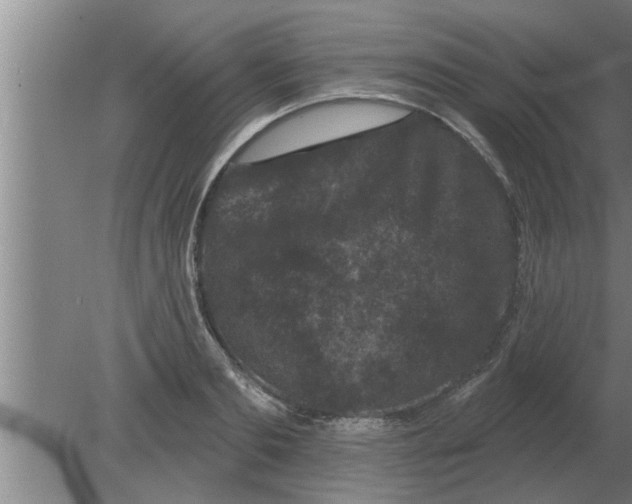 X0000080180893200612302242