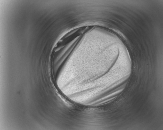 X0000080180894200612302242